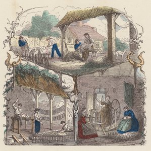 羊毛の生産（着色彫刻） 作： French School