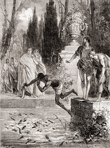 1870年頃に出版された、Les Merveilles de laScienceのヤツメウナギに奴隷を養うローマの乗馬者PubliusVedius Pollio 作： French School