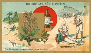 キニーネ、発熱に対する薬 作： French School