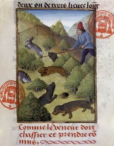 ウサギ狩り - "ベアルン公フォワ伯爵ガストン・フィーバスの狩猟書 "より 作： French School
