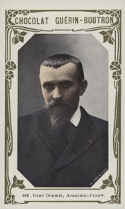 Rene Doumic、Academie-Francaise（カラー写真） 作： French School