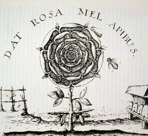 バラ十字の寓話、19世紀後半に出版された歴史の魔法で使用されたヨハンセオドアドブライ（1598年頃）の彫刻のコピー 作： French School