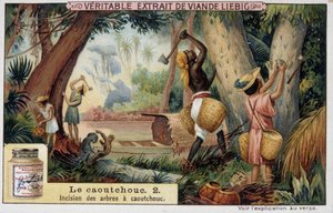 ゴム：ゴム軸の切開-クロモ・リエビグ 作： French School