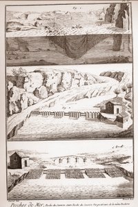 鮭の釣り方-Denis Diderot(1713-1784)とJean d