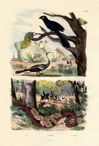 スムーズ請求アニ、1833-39 作： French School