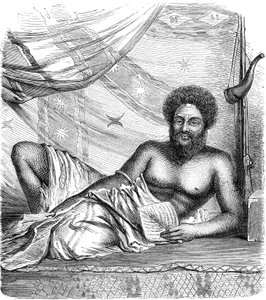 太平洋、ヴィティ諸島（フィジー）の王、タコンバウ。1885年 作： French School