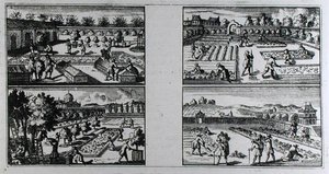 1704年頃に出版されたジャン・ド・ラ・カンティニーの「The Compleat Gard