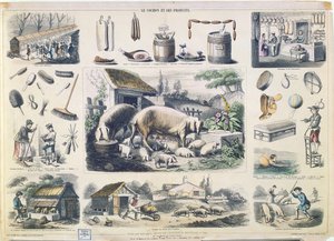 豚とその製品 作： French School