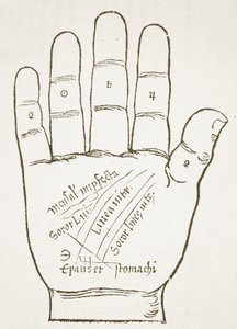 右手、主要な線、Ioannes ab Indagineによるカイロマンティアのイラストのコピー、1531年、19世紀後半に出版された歴史の魔法で使用 作： French School