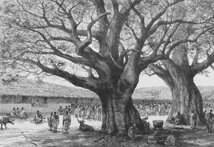 Aouabouの王宮、「Du Niger au Golfe de Guinee ...」のイラスト、ルイ・ギュスターヴ・ビンガー、1892年