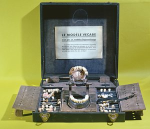 クラウンとブリッジを作成するためのVecabeモデル 作： French School