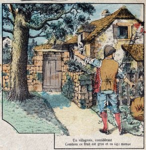 どんぐり」と「かぼちゃ」。ジャン・ド・ラ・フォンテーヌ(1621-95)の寓話。19世紀末のエピナルの画像。 作： French School