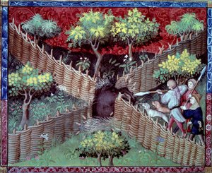 フォワ伯爵、ベアン公ガストン3世フィーバス（1331-1391）の「狩猟の書」から抜粋したイノシシ狩りのミニチュア。 作： French School