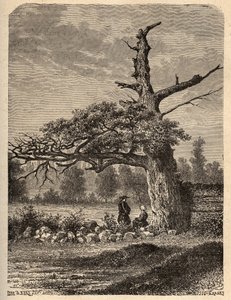 レンヌ近くのサント・フォワにあるヘンリー4世のオーク - "PATRIE "の刻印 - LUCIEN HUARDによるDESCRIPTION PECTUREQUIRESSE DE LA FRANCE EN 6 VOLUES - 19世紀末 作： French School
