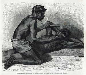 オカンダの歯の大きさ、アルフレッド・マルシェによる1875年から1877年のガボンとオゴエ川への旅の物語を説明するためのD.Maillardによる図面。Le tour du monde』に掲載されたエングレーヴィング 作： French School