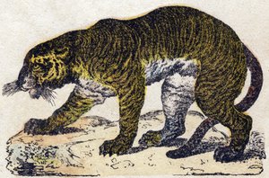 虎。Alphabet des animaux sauvages "に掲載されている彫刻。9th Serie.エピナルのイメージ、ペラン、印刷・出版業者、1870年頃。木にステンシルで描かれた版画。16ページ。20×15cm。個人蔵 作： French School