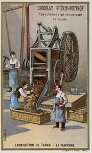 タバコの製造。葉の細断（クロモリト 作： French School