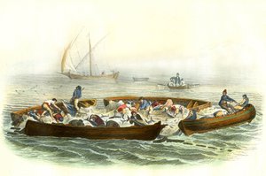 マグロ漁またはマグラーグ - ベルナール・ジェルマン・ド・ランスペード（1856-1925）著『自然史』（P.Furme版、パリ）より抜粋。 作： French School