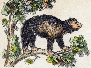 ウナウ（怠け者）。Alphabet des animaux sauvages "に掲載されている版画です。9th Serie.エピナルのイメージ、ペラン、印刷・出版業者、1870年頃。木にステンシルで描かれた版画。16ページ。20×15cm。個人蔵 作： French School