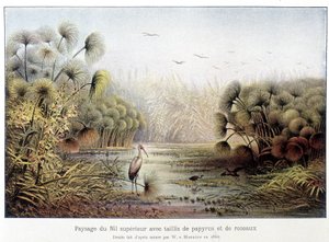 パピルスと葦の雑木林があるナイル上流の通路。 作： French School