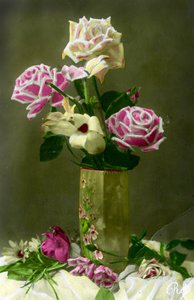 薔薇の花瓶c.1898（手彩色写真） 作： French School