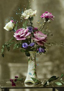 花瓶c.1898（手彩色写真）