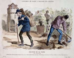 15世紀のブドウ栽培 - "Costume de Paris through the centuries "にて