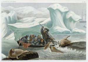 セイウチ狩り - アルフレッド・フレドール著「Le monde de la mer」（Hachette, Paris）より 作： French School