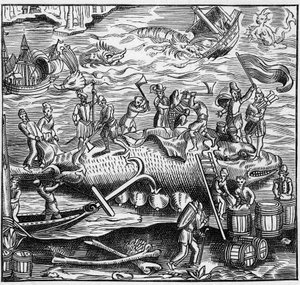 中世の大西洋のフランス海岸での鯨漁。エングレービング "La Marine et les colonies: commerce" より 作： French School