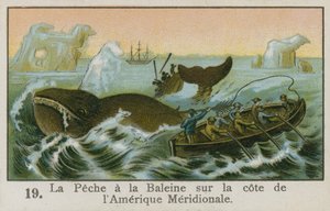 南アメリカ沖の捕鯨 作： French School