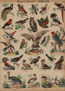 野鳥（彩色済み彫刻 作： French School