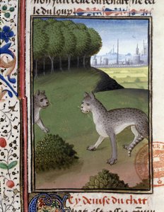 野生の猫......「フォイクス伯爵、ベアルン公ガストン・フィーバスの狩猟書」にて 作： French School