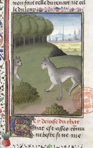 野生の猫、ガストンフェブスデフォワ（1331-91）によるリヴルデラシャスの作品 作： French School