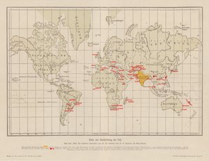 ペストの蔓延を示す世界地図（カラーリトグラフ） 作： French School