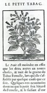 ル・ペリ・タバック、ジャン・ル・ロワイエ・ド・プラード作「Discours du Tabac」のイラスト、1671 作： French School