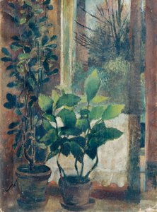 花のある窓 作： Friedl Dicker Brandeis