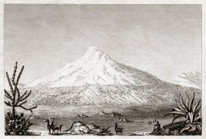 チンボラゾ火山。(エッチング、1840年頃)