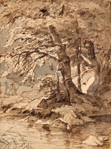 木の研究 作： Friedrich August Mathias Gauermann