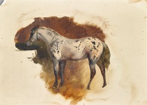 斑点のあるカビ 作： Friedrich August Mathias Gauermann
