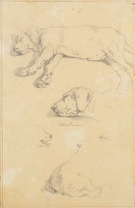 犬の研究: ヴァルトマンとアミ 作： Friedrich August Mathias Gauermann