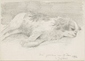 犬の研究 作： Friedrich August von Kaulbach