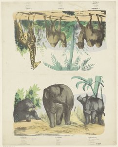 野生動物 作： Friedrich Gustav Schulz