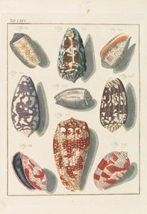 1768 年の新しい体系的なコンキュリア キャビネット。