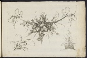 Festoen van vruchten, Bladeren en bloemen 花と果実の新作花綱いろいろ（連載タイトル） 作： Friedrich Jacob Morisson
