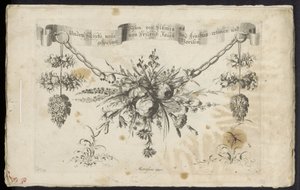 花と果物の別の新しい花綱 作： Friedrich Jacob Morisson