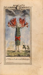 ルズヴィ・ホルベアのイラスト-ニールズ・クリムの地下世界への旅 作： Friedrich Müller