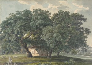 直角の木のあるイタリアの風景、1815-21。 作： Friedrich Salathé