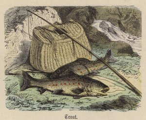 トラウト（彩色済み彫刻 作： Friedrich Specht