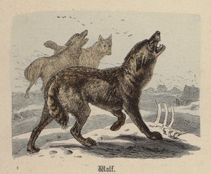 ウルフ（彩色済み彫刻 作： Friedrich Specht