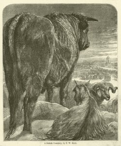 A Jewish Cemetery (e.g. engraving) 作： Friedrich Wilhelm Keyl